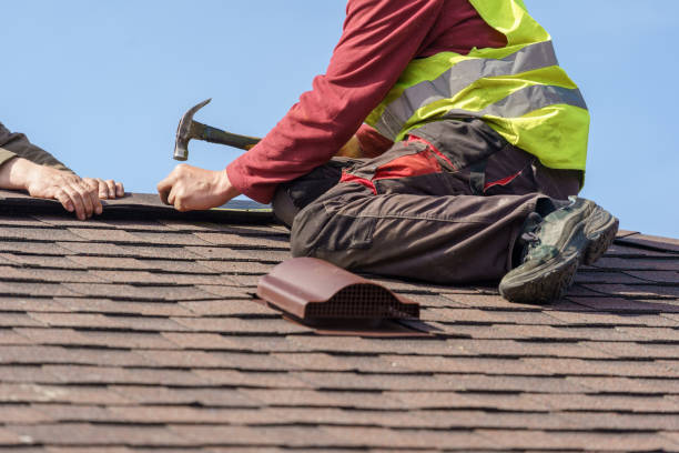 Best Flat Roof Repair Services  in Pipestone, MN