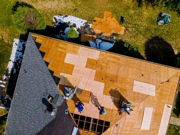 Best Flat Roof Repair Services  in Pipestone, MN